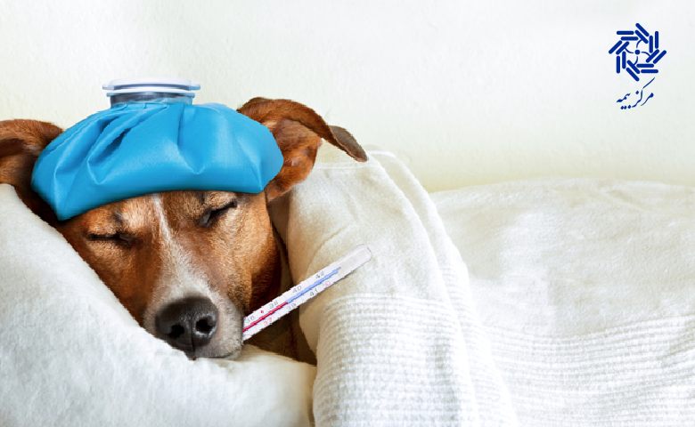 هزینه‌ های دامپزشکی